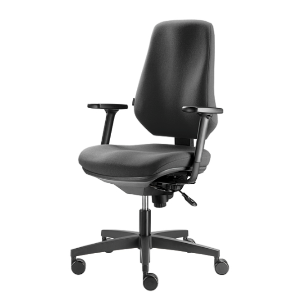 Swiss Ergochair 